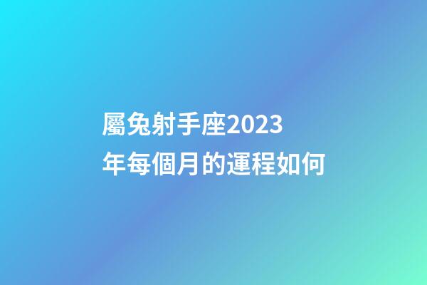 屬兔射手座2023年每個月的運程如何-第1張-星座運勢-玄機派