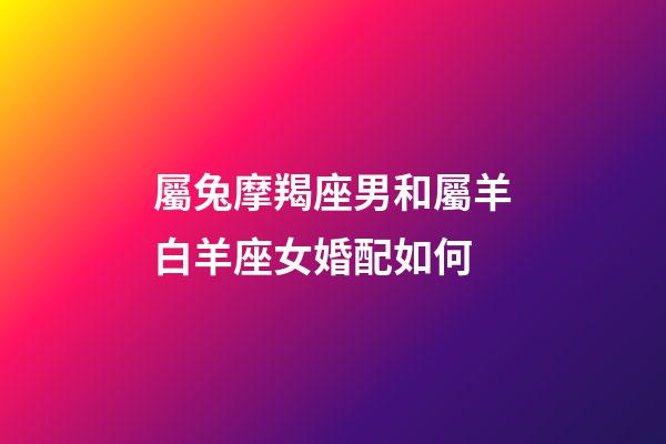 屬兔摩羯座男和屬羊白羊座女婚配如何-第1張-星座運勢-玄機派