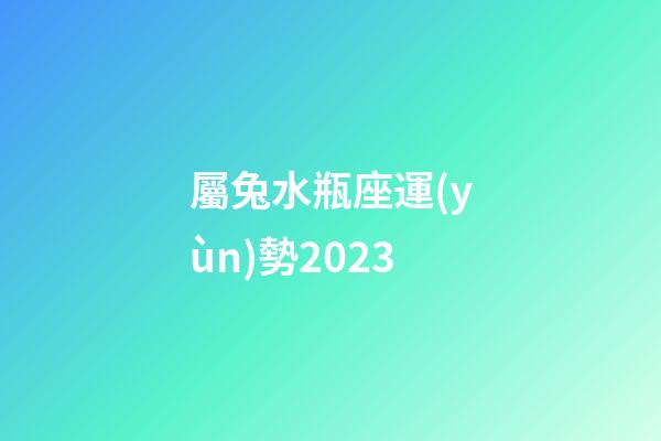 屬兔水瓶座運(yùn)勢2023-第1張-星座運(yùn)勢-玄機(jī)派