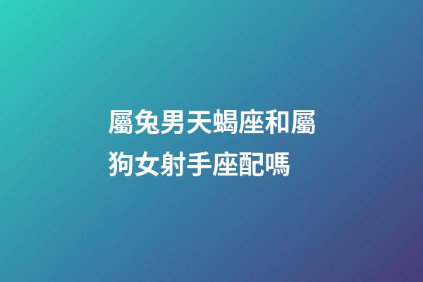 屬兔男天蝎座和屬狗女射手座配嗎-第1張-星座運勢-玄機派
