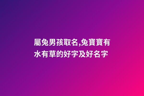 屬兔男孩取名,兔寶寶有水有草的好字及好名字-第1張-觀點-玄機派