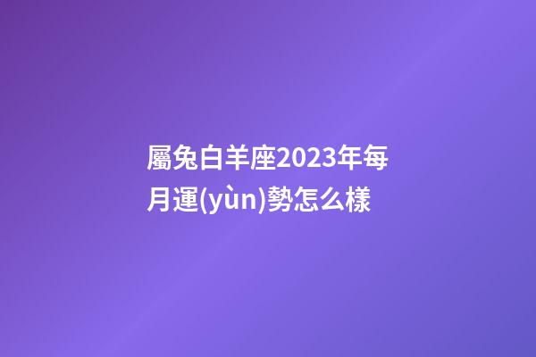 屬兔白羊座2023年每月運(yùn)勢怎么樣