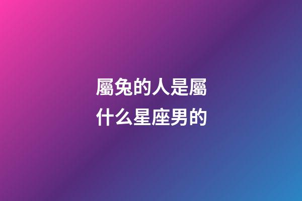 屬兔的人是屬什么星座男的-第1張-星座運勢-玄機派