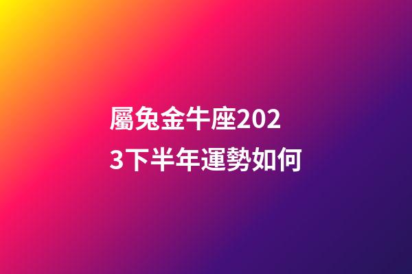 屬兔金牛座2023下半年運勢如何-第1張-星座運勢-玄機派