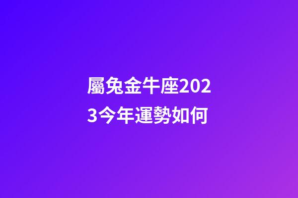 屬兔金牛座2023今年運勢如何-第1張-星座運勢-玄機派