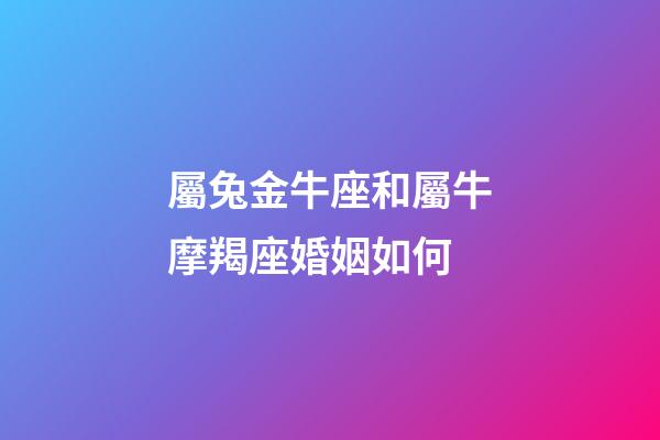 屬兔金牛座和屬牛摩羯座婚姻如何-第1張-星座運勢-玄機派