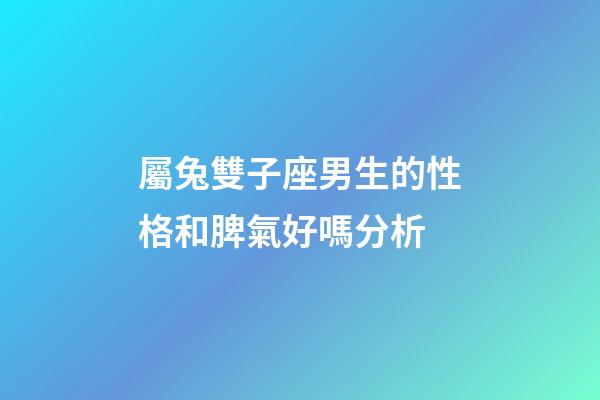 屬兔雙子座男生的性格和脾氣好嗎分析-第1張-星座運勢-玄機派