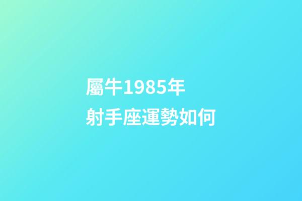 屬牛1985年射手座運勢如何-第1張-星座運勢-玄機派