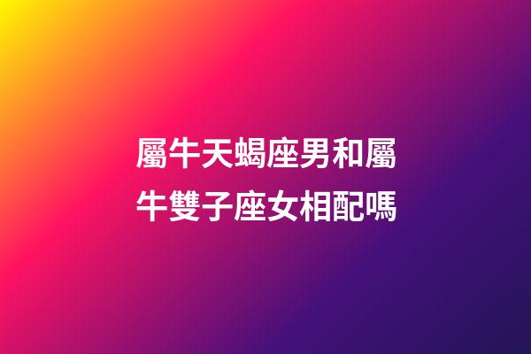 屬牛天蝎座男和屬牛雙子座女相配嗎-第1張-星座運勢-玄機派