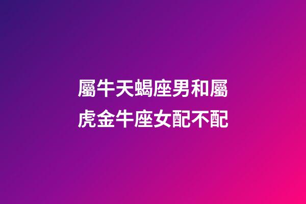 屬牛天蝎座男和屬虎金牛座女配不配-第1張-星座運勢-玄機派