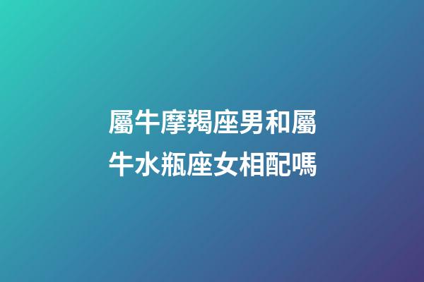 屬牛摩羯座男和屬牛水瓶座女相配嗎-第1張-星座運勢-玄機派