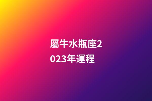 屬牛水瓶座2023年運程-第1張-星座運勢-玄機派