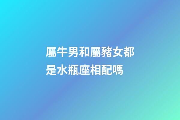 屬牛男和屬豬女都是水瓶座相配嗎-第1張-星座運勢-玄機派