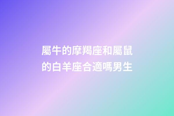 屬牛的摩羯座和屬鼠的白羊座合適嗎男生-第1張-星座運勢-玄機派