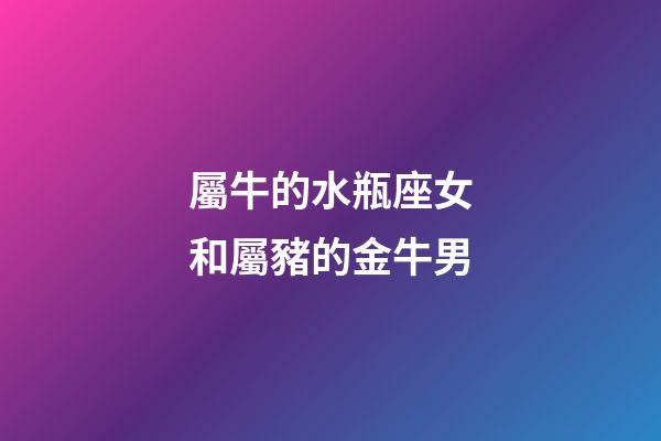 屬牛的水瓶座女和屬豬的金牛男-第1張-星座運勢-玄機派
