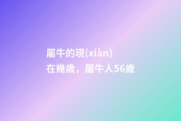 屬牛的現(xiàn)在幾歲，屬牛人56歲
