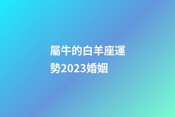 屬牛的白羊座運勢2023婚姻-第1張-星座運勢-玄機派