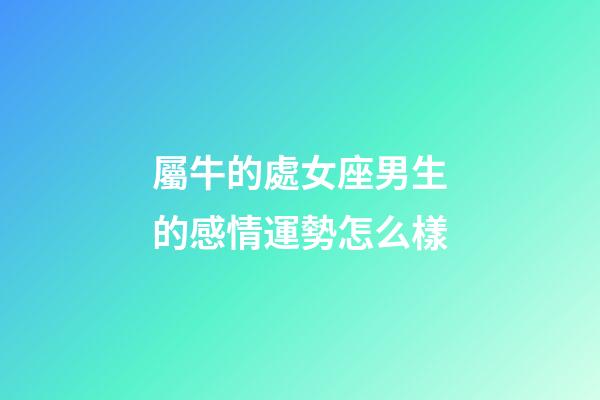 屬牛的處女座男生的感情運勢怎么樣-第1張-星座運勢-玄機派