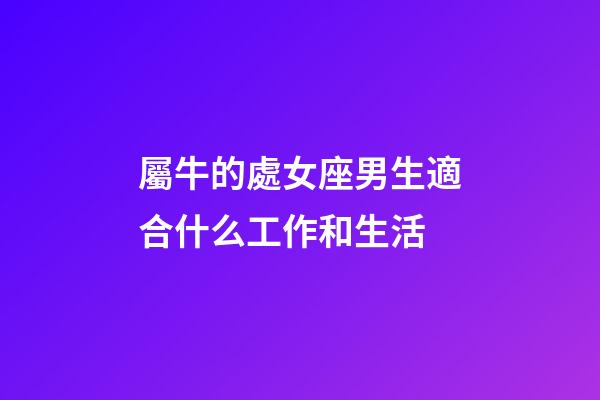 屬牛的處女座男生適合什么工作和生活-第1張-星座運勢-玄機派