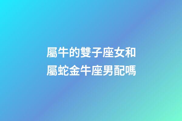 屬牛的雙子座女和屬蛇金牛座男配嗎-第1張-星座運勢-玄機派