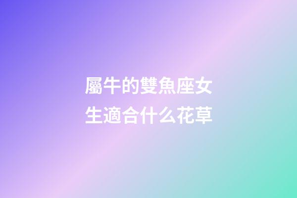 屬牛的雙魚座女生適合什么花草
