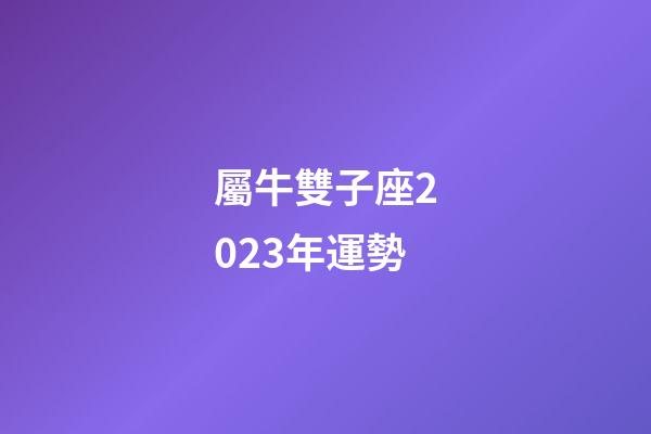 屬牛雙子座2023年運勢-第1張-星座運勢-玄機派