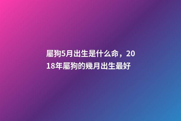 屬狗5月出生是什么命，2018年屬狗的幾月出生最好-第1張-觀點-玄機派