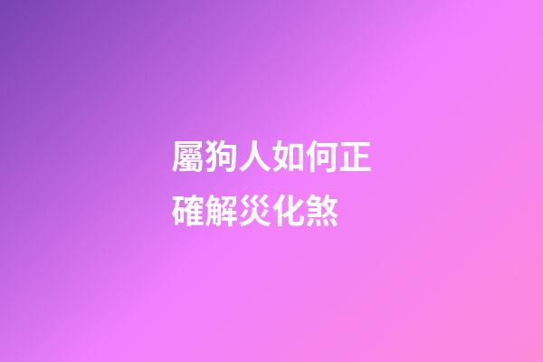 屬狗人如何正確解災化煞