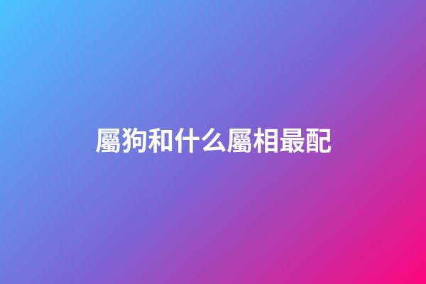 屬狗和什么屬相最配（屬狗最忌諱的兩個屬相）-第1張-星座運勢-玄機派