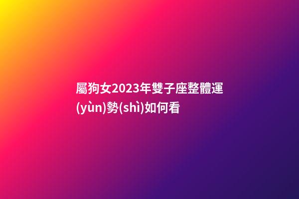 屬狗女2023年雙子座整體運(yùn)勢(shì)如何看-第1張-星座運(yùn)勢(shì)-玄機(jī)派