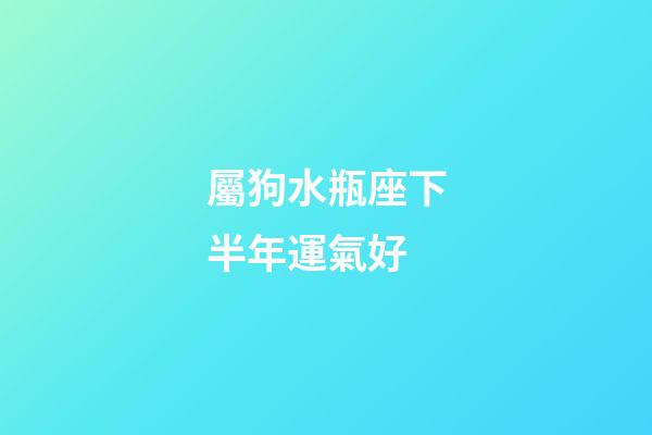 屬狗水瓶座下半年運氣好-第1張-星座運勢-玄機派