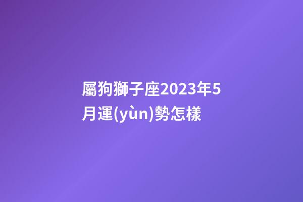屬狗獅子座2023年5月運(yùn)勢怎樣-第1張-星座運(yùn)勢-玄機(jī)派