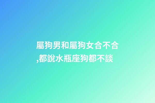 屬狗男和屬狗女合不合,都說水瓶座狗都不談-第1張-觀點-玄機派