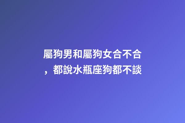 屬狗男和屬狗女合不合，都說水瓶座狗都不談-第1張-觀點-玄機派