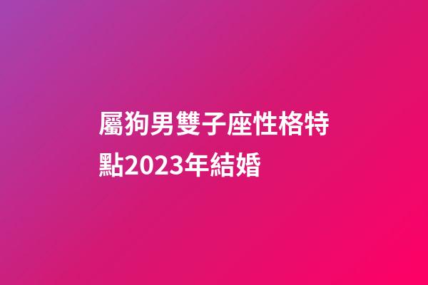屬狗男雙子座性格特點2023年結婚-第1張-星座運勢-玄機派