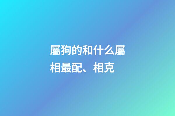 屬狗的和什么屬相最配、相克（狗跟什么相沖相克）-第1張-星座運勢-玄機派