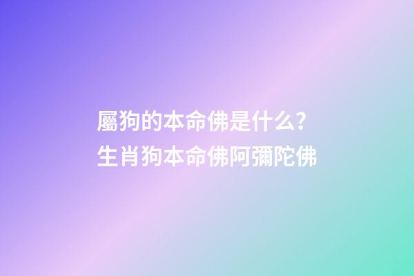 屬狗的本命佛是什么？生肖狗本命佛阿彌陀佛