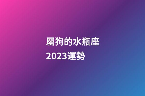 屬狗的水瓶座2023運勢-第1張-星座運勢-玄機派