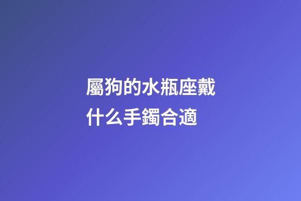 屬狗的水瓶座戴什么手鐲合適-第1張-星座運勢-玄機派
