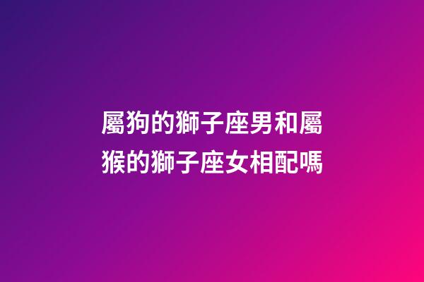 屬狗的獅子座男和屬猴的獅子座女相配嗎-第1張-星座運勢-玄機派