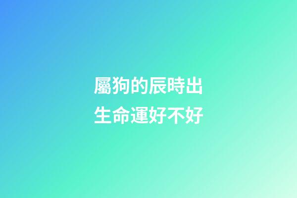 屬狗的辰時出生命運好不好