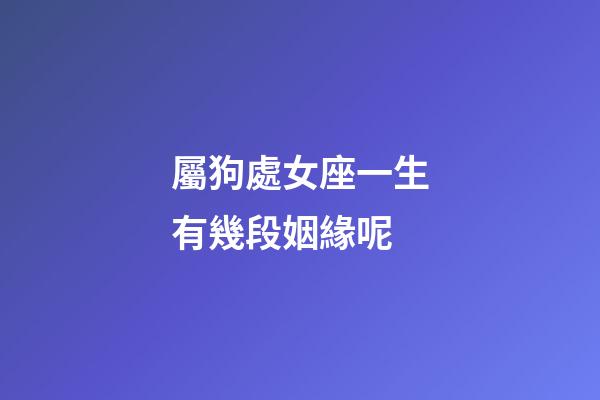 屬狗處女座一生有幾段姻緣呢-第1張-星座運(yùn)勢(shì)-玄機(jī)派