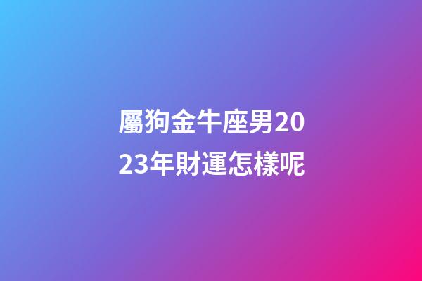 屬狗金牛座男2023年財運怎樣呢-第1張-星座運勢-玄機派
