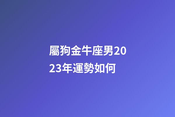 屬狗金牛座男2023年運勢如何-第1張-星座運勢-玄機派