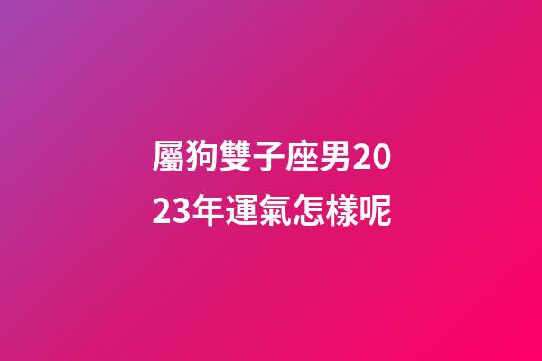 屬狗雙子座男2023年運氣怎樣呢-第1張-星座運勢-玄機派