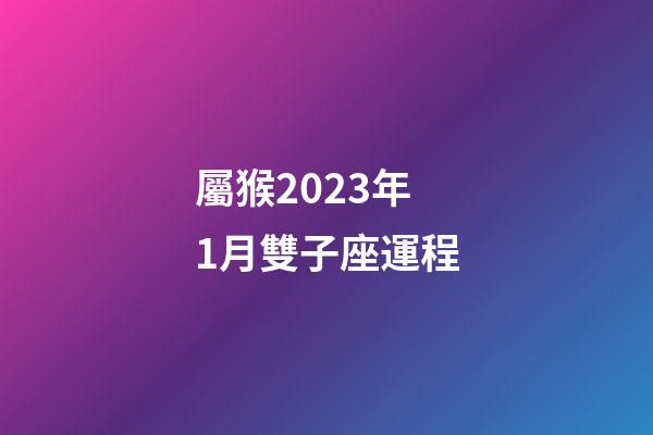屬猴2023年1月雙子座運程-第1張-星座運勢-玄機派
