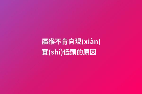 屬猴不肯向現(xiàn)實(shí)低頭的原因