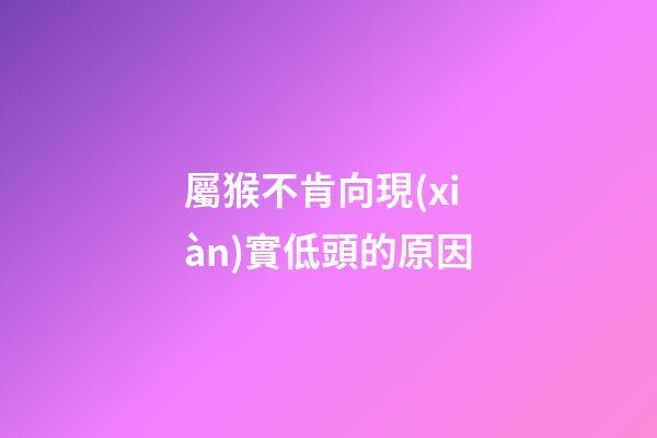 屬猴不肯向現(xiàn)實低頭的原因