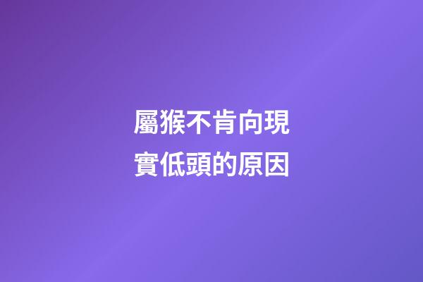 屬猴不肯向現實低頭的原因