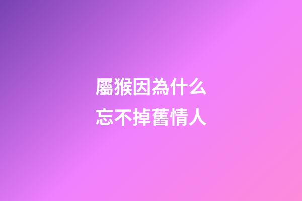 屬猴因為什么忘不掉舊情人